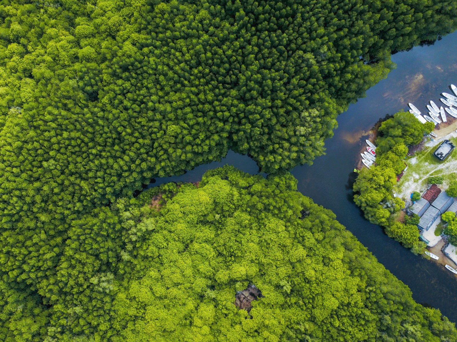 Marshland